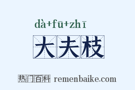 大夫枝是什么意思的图片